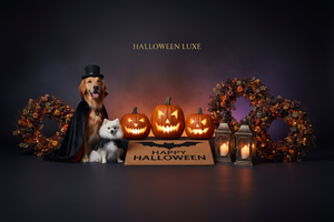 Spooky Finds
